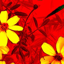 DDOS在线攻击平台